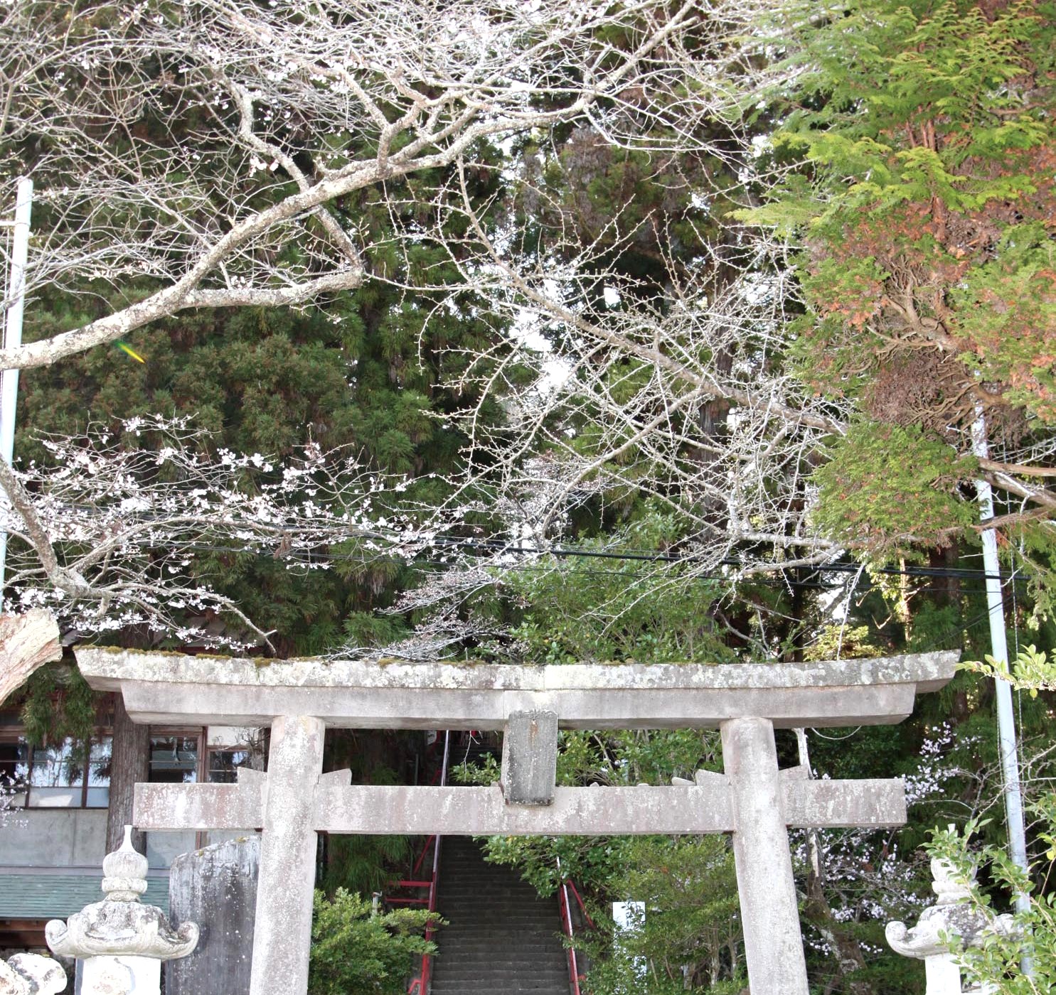 宮城県仙台市青葉区愛子の諏訪神社