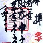 コスモス